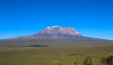 Route du Lemosho - Ascension du Kilimandjaro - 9 jours circuit