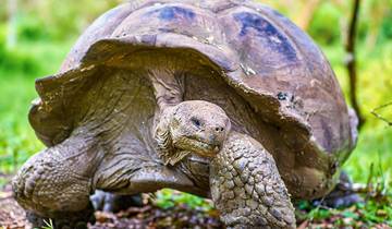 Aangepaste privéreis naar Quito & Galapagoseilanden in Ecuador