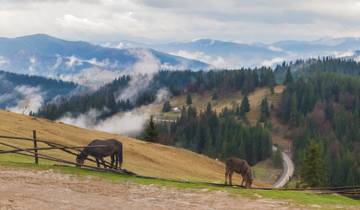 La Transylvanie et la Bucovine à vélo