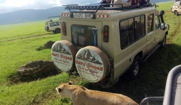 5-Days Luxury Lodge Safari Serengeti Ngorongoro and Tarangire Tour