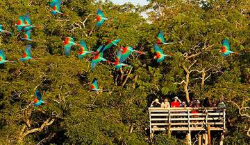 Pantanal, Bonito & Iguazu Adventure 9D/8N (from Campo Grande)