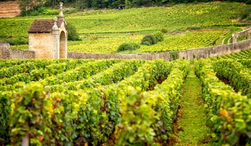 Cycling the Grand Crus of Burgundy Tour