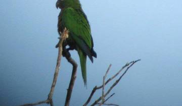 Costa Rica