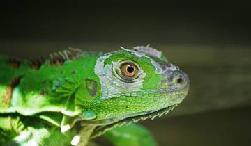 Costa Rica