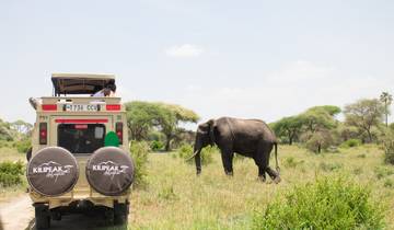 Safari asequible de 3 días por Tanzania desde Zanzíbar