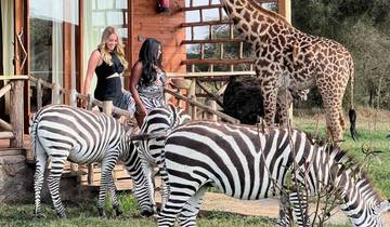 2 jours d\'expérience au parc animalier Serval depuis Zanzibar (vol aller-retour) circuit