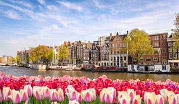 Tulpencruise - AMADEUS Briljant (Amsterdam - Amsterdam)