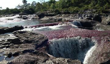 Bogota & Cano Cristales Experience 7D/6N Tour