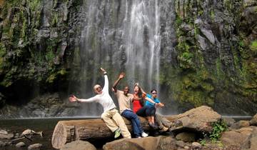 Day trip tour to Materuni Waterfalls coffee tour: it takes 45 minutes to visit the most beautiful place through the valleys of Materuni Falls