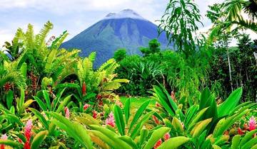 Tortuguero - Viaje de aventura de 14 días