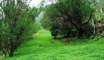 Gran Canaria - Hiking on the miniature Continent