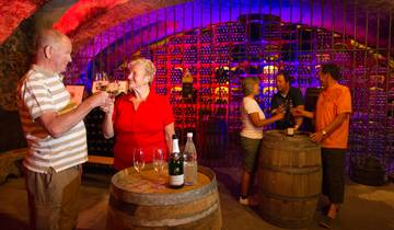 Neckar, Rijn & Wijngaard (8 dagen)