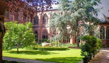 Wijnbouwersreis langs de Rijn - door de wijngaarden naar de keizerlijke kathedralen (9 dagen)