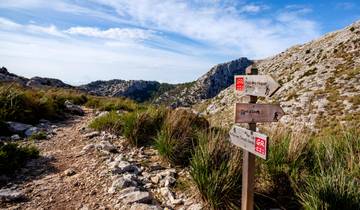 Randonnée au cœur du GR 221 (5 jours)