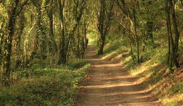 Chemin de Saint-Jacques-de-Compostelle - Chemin français : itinéraire complet St.Jean-Santiago - 36 jours (36 jours)