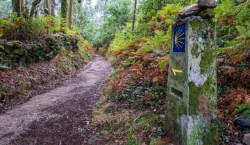 Weg van Sint-Jacob - Noordelijke Weg: Vilalba-Santiago - 8 dagen (8 dagen)