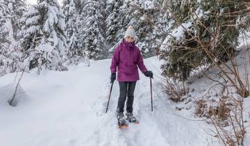 Winter- & Schneeschuhwandern am Mieminger Plateau (7 Tage)