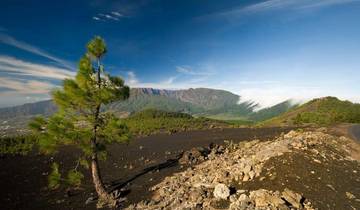 La Palma sportlich erwandern (8 Tage)