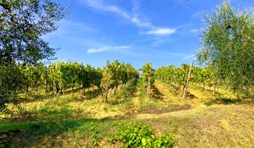 Sternfahrt Toskana - Radeln, Schlemmen, Entspannen. (8 Tage) Rundreise