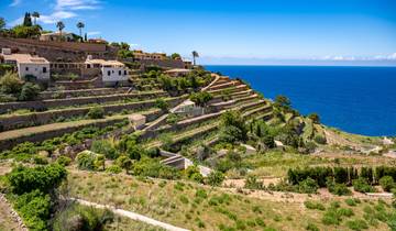 Randonnée pédestre à Majorque (8 jours)