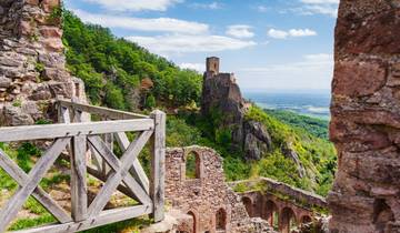 Ontdek de culinaire geneugten van de Elzas - wandelen tussen de Rijn en de Vogezen - 7 dagen