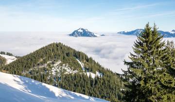 Schneeschuhwandern im alpinen Gelände - Einsteigerkurs im Allgäu (4 Tage)