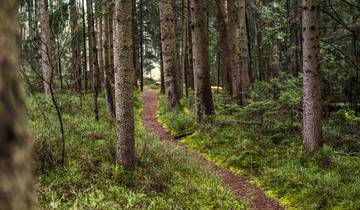 Bayern - Wandern rund um den Chiemsee (7 Tage)