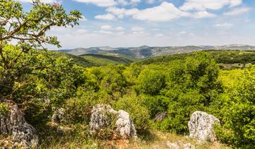 Jordaniens Highlights erwandern (8 Tage)