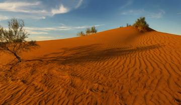 Discover Uzbekistan's Highlights 14 Days