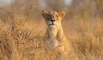 Hike South Africa in 22 Days (Comfort)