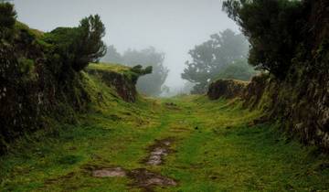 Walk Madeira on unrevealed Paths (8 days) Tour