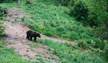 Walk Romania's Highlights (8 days)