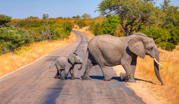 Hike Cape Town & the Garden Route