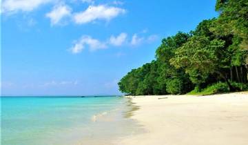 Romance in Andaman - Havelock, Neil & Ross Island (The Beach Paradise) Tour