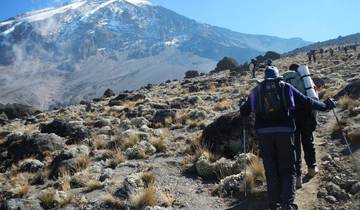 Tagesausflug Wanderung Marangu Route - Kilimandscharo Besteitung - 1 Tag