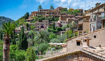 Mallorca für Singles und Alleinreisende (8 Tage)