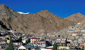 Private Leh- Ladakh tour with Pangong & Nubra Tour