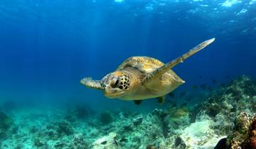 Das Beste der Galapagos Inseln (7 Tage) Rundreise