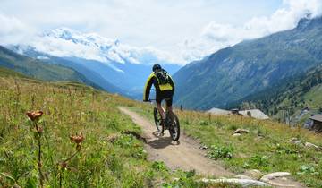 Upper Swabia-Allgäu Cycle Route With Luggage Transfer Tour