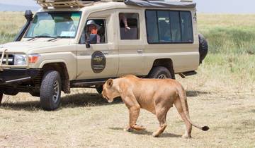 4 Days Safari to Tarangire, Serengeti and Ngorongoro Crater Tour