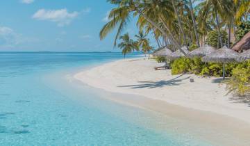 10 Day Maldives Itinerary, incl. Maafushi Island and Male