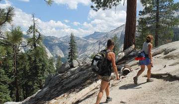 6 Day Yosemite National Park Itinerary, incl. San Francisco and Tuolumne Grove