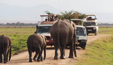 4-Days Masai Mara Budget Safari Tour