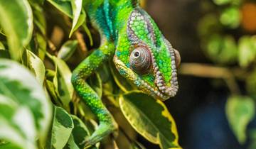 10 Days in Madagascar, incl. Antananarivo and Isalo National Park