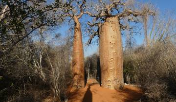 10 Days in Madagascar, incl. Antananarivo and Isalo National Park