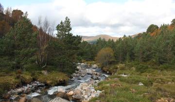Hiking and Wild Swimming in the Cairngorms (5 Days) Tour