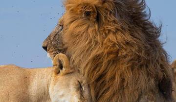 6 Days Southern Tanzania Big 5 Safari