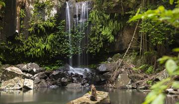 5 Days in Queensland's Scenic Rim, incl. Lamington and Mount Barney