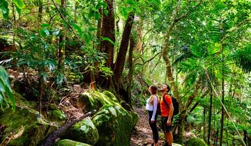 5 Days in Queensland's Scenic Rim, incl. Lamington and Mount Barney