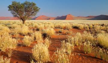 Beautiful Contrasts of Southern Namibia, Private Tour Rundreise